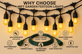 48ft Garden Festoon Lights With 15 LED Bulbs